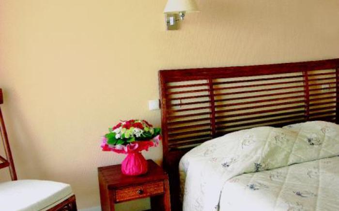 Hotel Le Dauphin