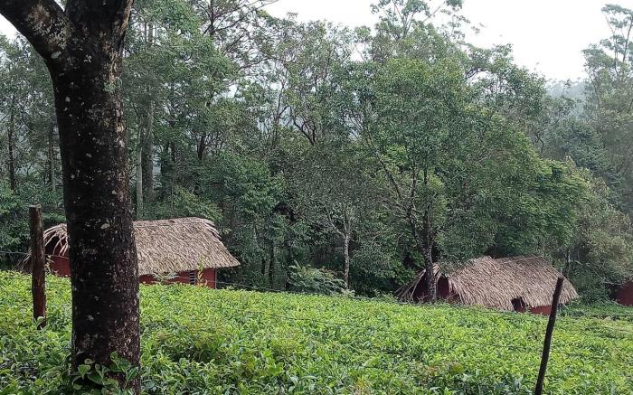 Eaglerock Holiday Villas 