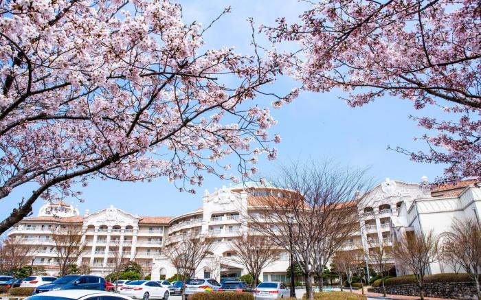 SOL BEACH YANGYANG (SOL BEACH HOTEL & RESORT YANGYANG)