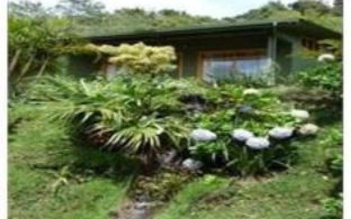 Cloud Forest Lodge