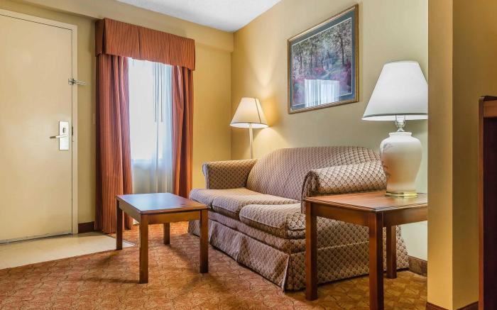 Sleep Inn & Suites Auburn Campus Area I-85