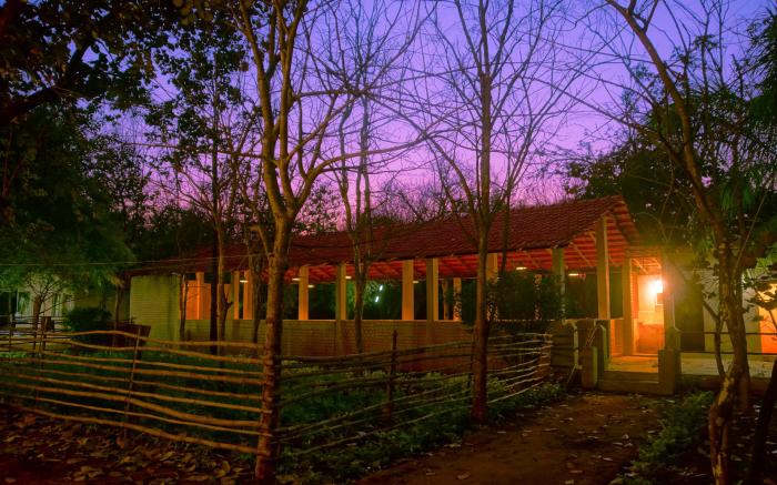 Wild Haven Resort