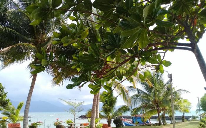 chuttong resort