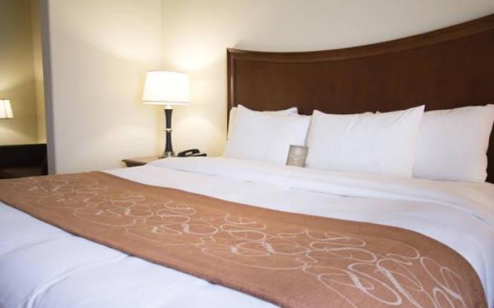 Comfort Suites San Antonio North - Stone Oak