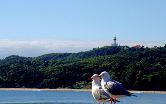 Byron Bay Side Central Studio Apartments