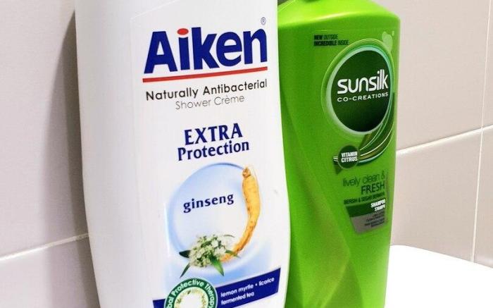 Kimura Ryokan @Legoland Johor Bahru