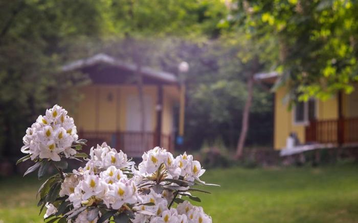 Entire house - 23 persons Bungalow in nice complex for family
