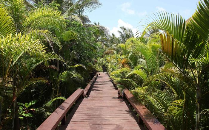 Blue Ocean The Fern Resort & Spa Ganpatipule, Series by Marriott