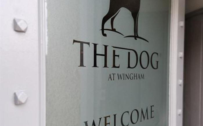 The Dog at Wingham