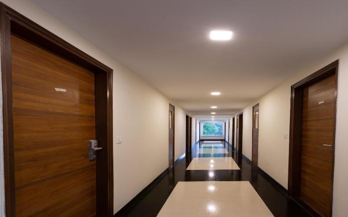 Hotel Wild Wood