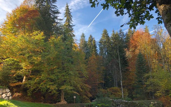 Le Moulin des Olirics