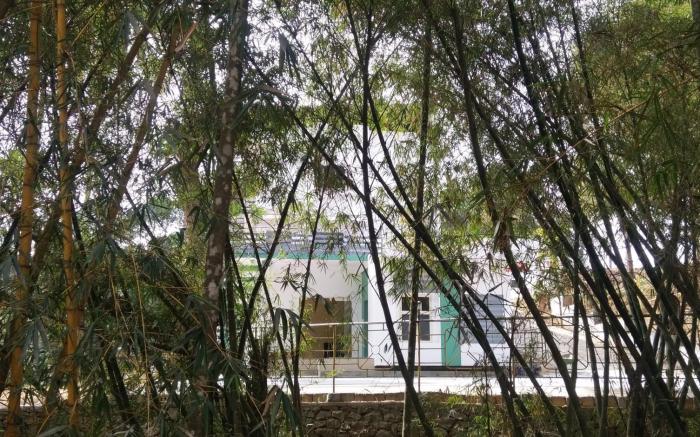 WAYANAD ROYAL STREAM