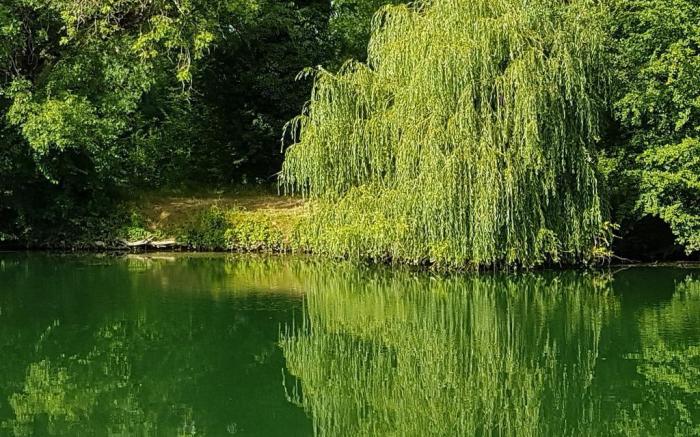 Face au Jardin