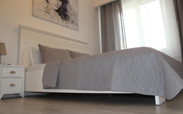 Luxury City Center Apartment – Romana#2