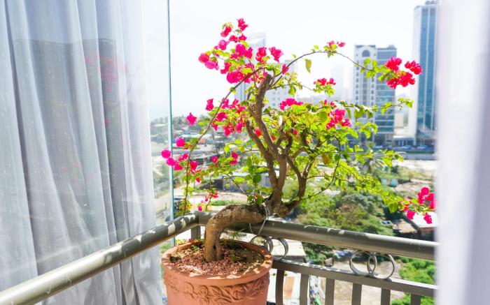 Hong Phuc Hotel 4 Da Nang 