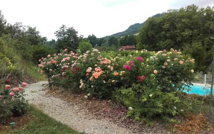 Domaine du Vern