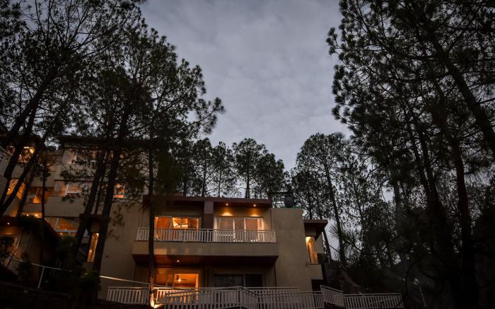 Jungle Lodge