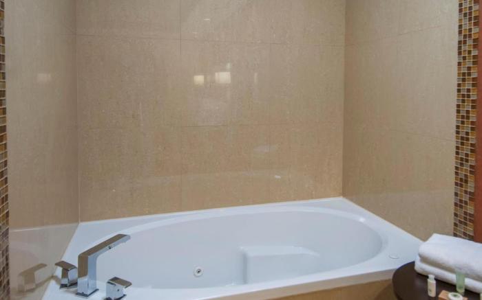 Best Western Plus JFK Inn and Suites