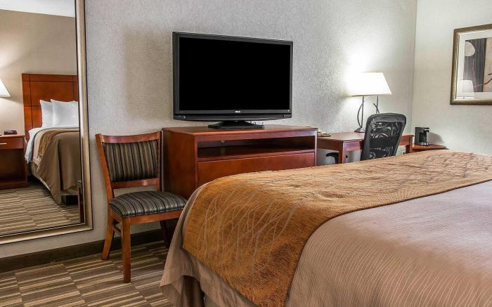 Comfort Inn & Suites University South