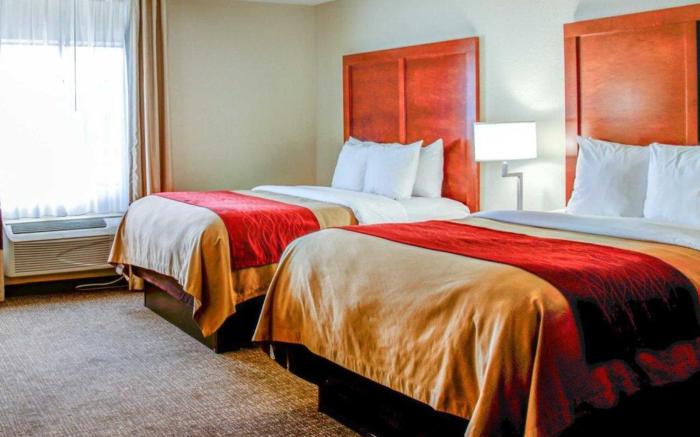 Comfort Inn Bessemer Birmingham South