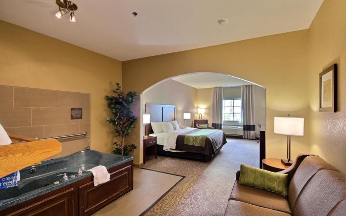 Comfort Inn Edinburg South