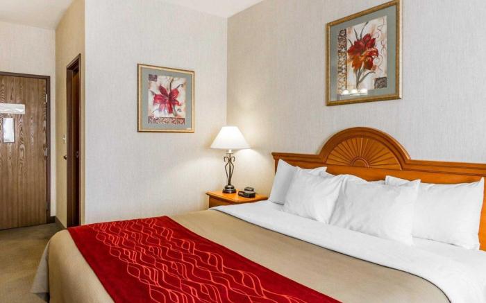 Comfort Inn Ellsworth - Bar Harbor