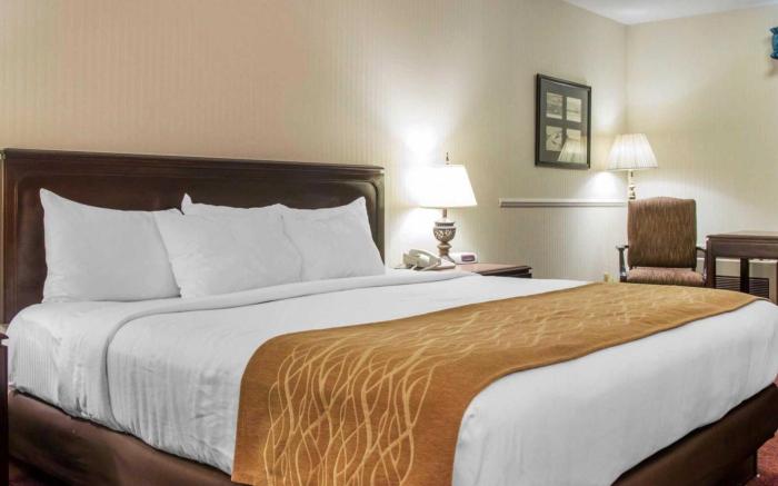 Comfort Inn Lakeside