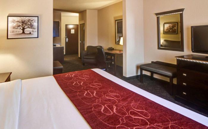 Comfort Suites Arlington - Entertainment District