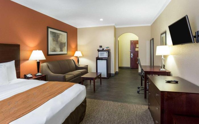 Comfort Suites Baytown I - 10
