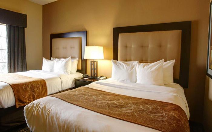 Comfort Suites Buda - Austin South