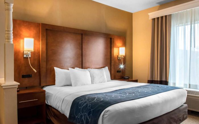 Comfort Suites Scranton near Montage Mountain