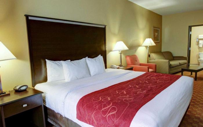 Comfort Suites Old Town Spring