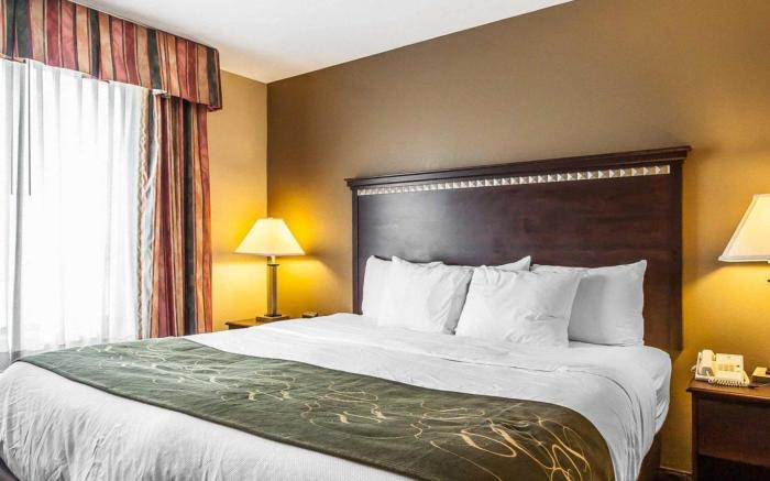 Comfort Suites Tuscaloosa near University