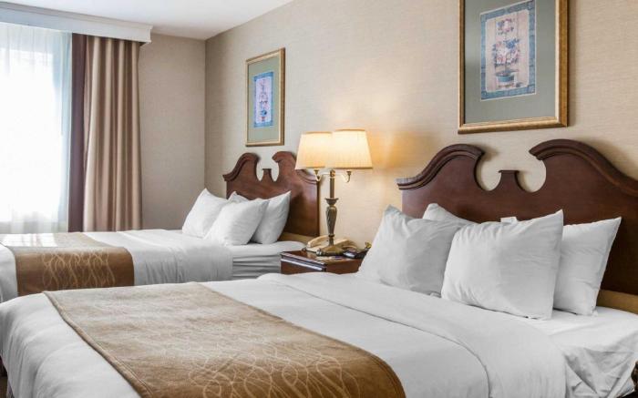 Comfort Inn & Suites East Greenbush - Albany