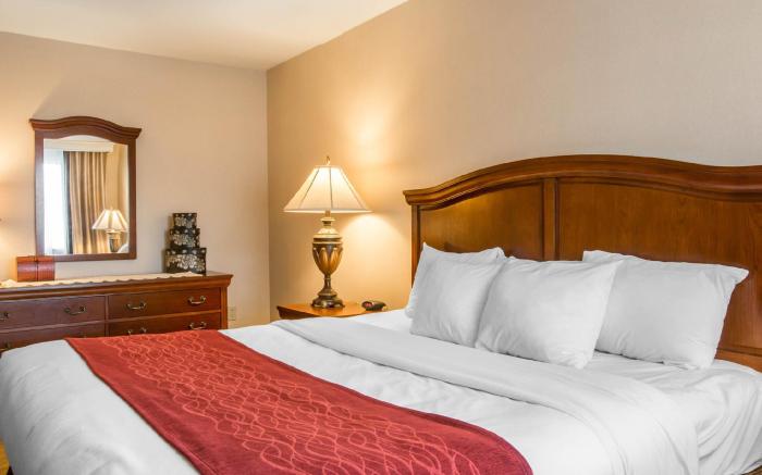 Comfort Inn & Suites East Greenbush - Albany