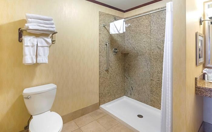 Comfort Suites Manhattan