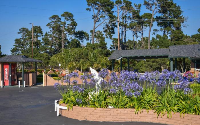Padre Oaks Inn