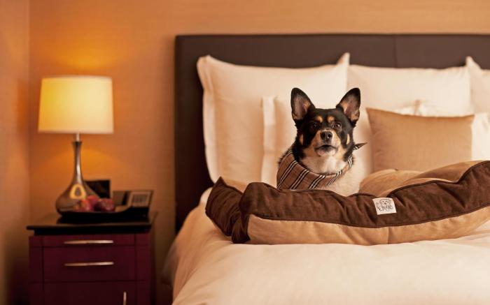 Hyatt Place Tempe/phoenix Airport