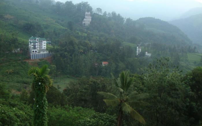 Tea Castle