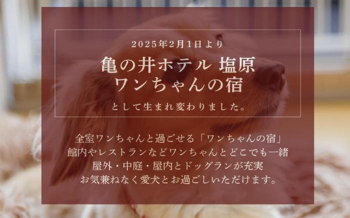 KAMENOI HOTEL SHIOBARA Dog Friendly Hotel