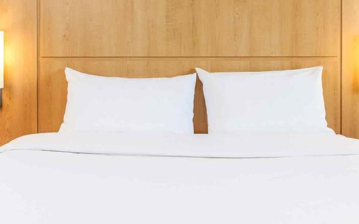 Ibis Friedrichshafen Airport Messe