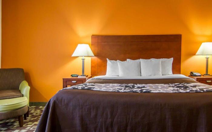 Sleep Inn & Suites I-20