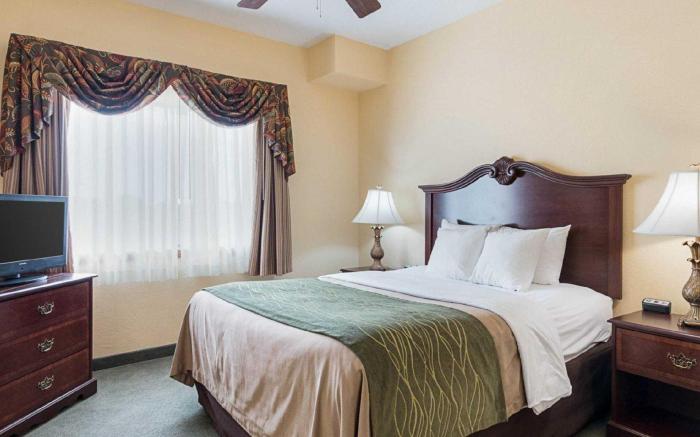 Comfort Inn Early Brownwood