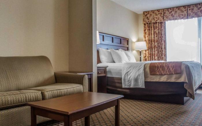 Comfort Inn & Suites Farmington - Victor