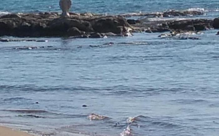 Sole Mare E Relax for dream holidays