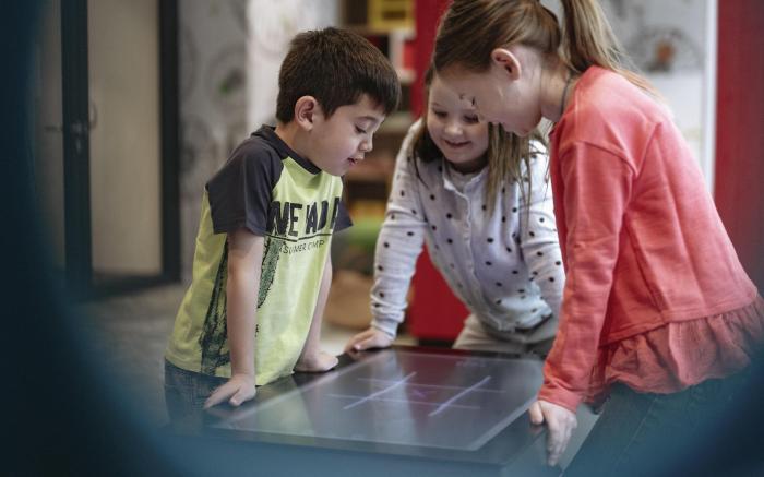 Ibis Geneve Petit Lancy Hotel