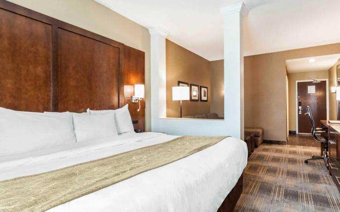 Comfort Suites University