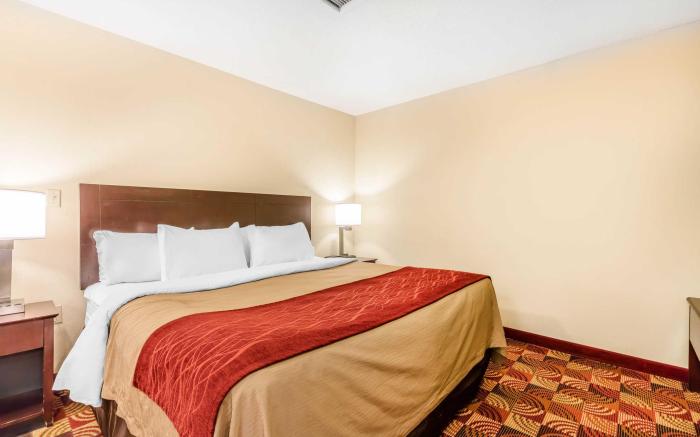 Comfort Inn & Suites Jasper Hwy 78 West