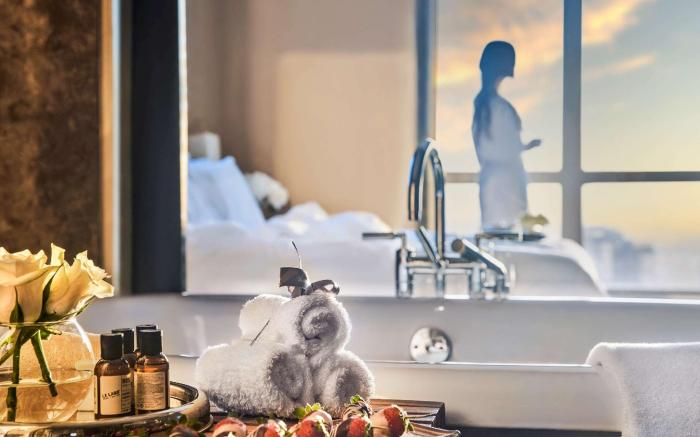 Fairmont Nile City