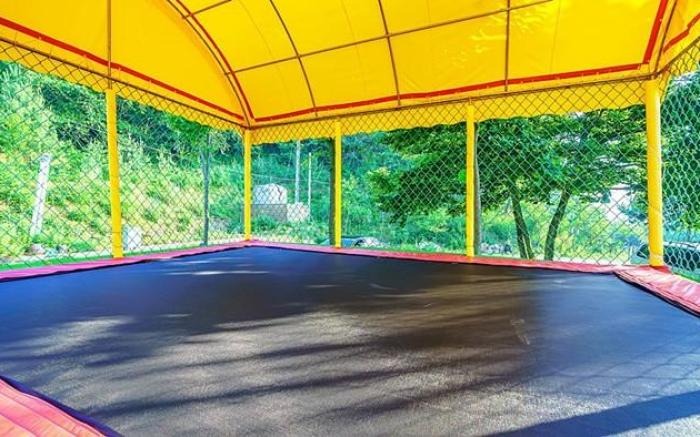 seocheon paintree glamping